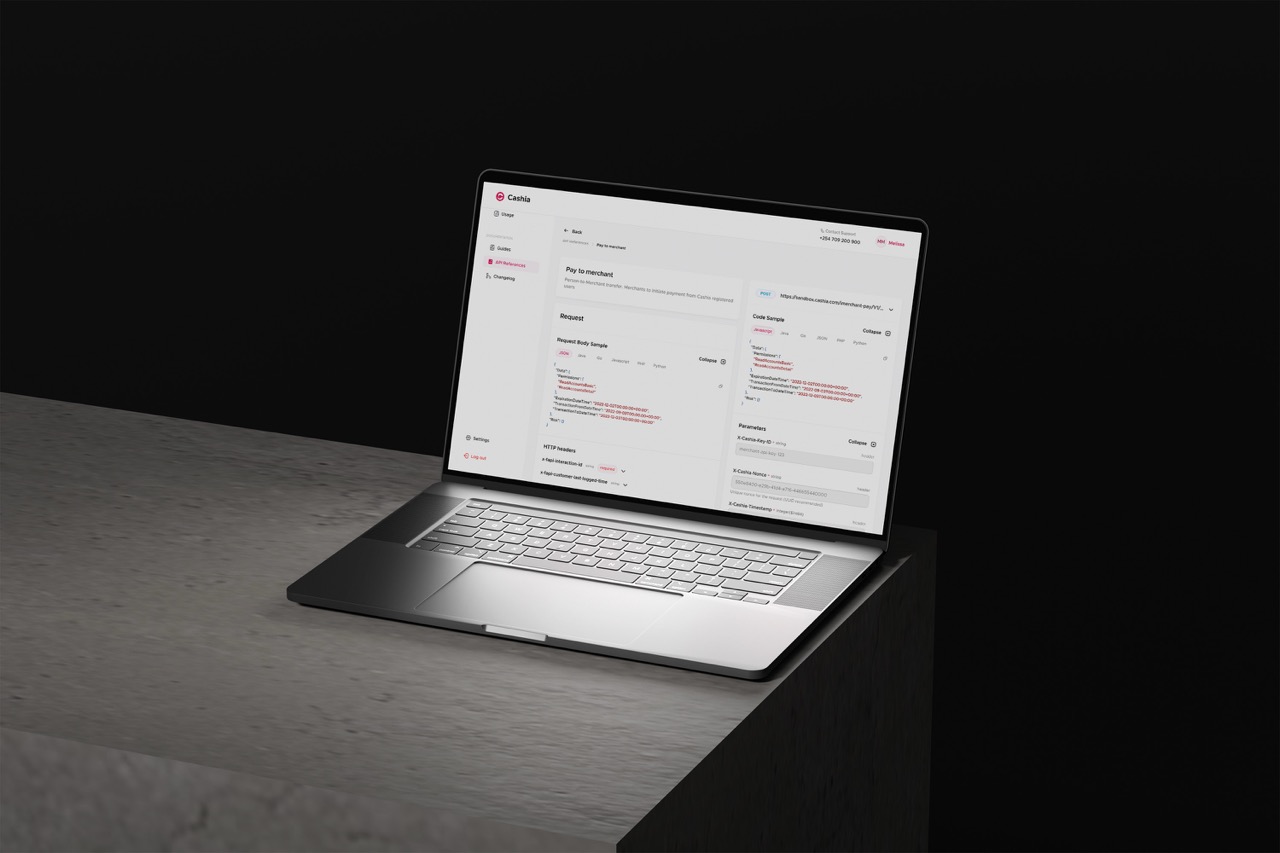 Cashia API documentation dashboard