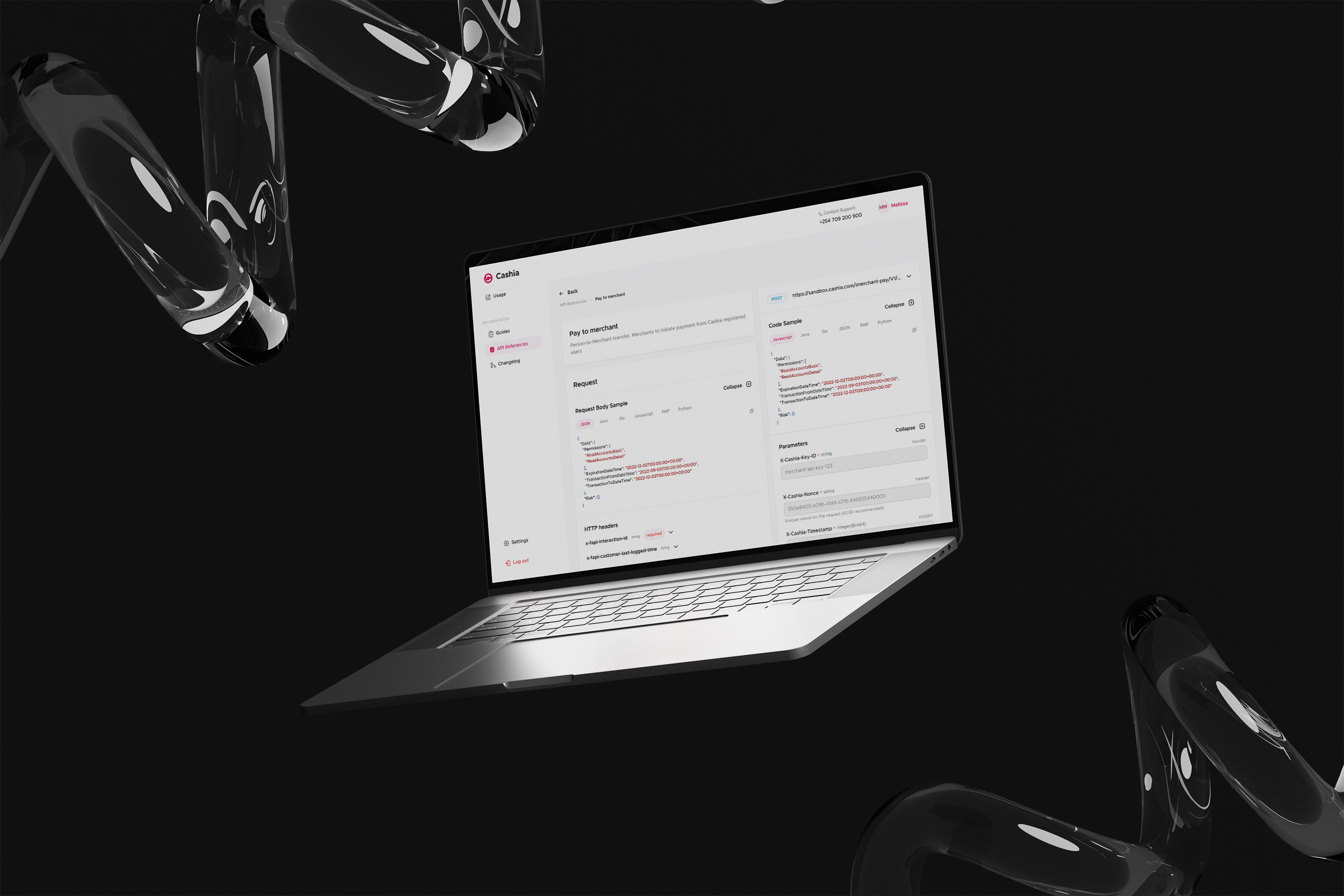 Cashia developer API dashboard